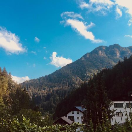 Apartment Tisa Solčava Εξωτερικό φωτογραφία