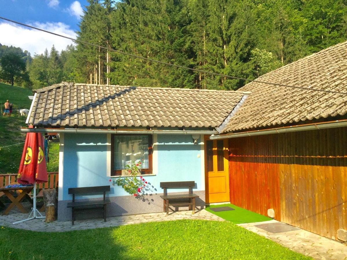 Apartment Tisa Solčava Εξωτερικό φωτογραφία
