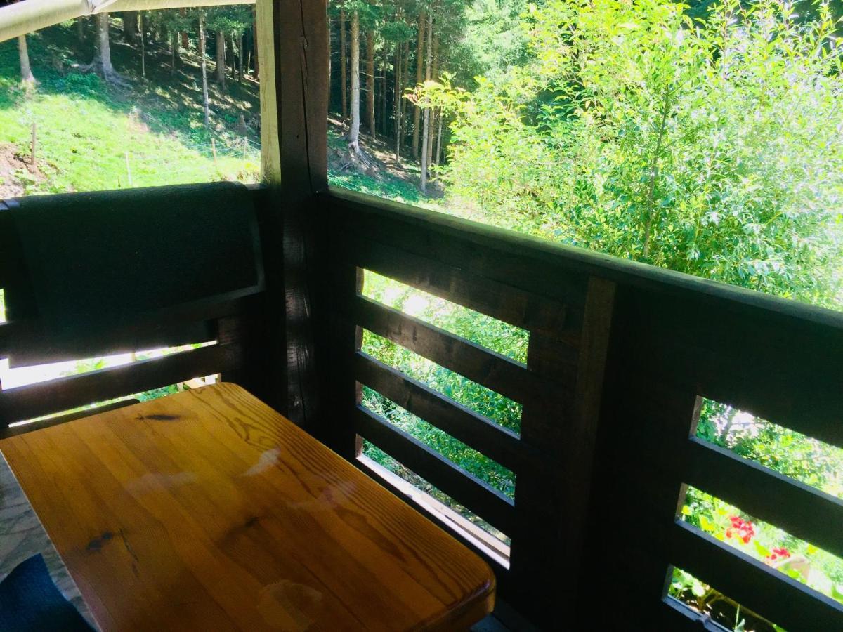 Apartment Tisa Solčava Εξωτερικό φωτογραφία